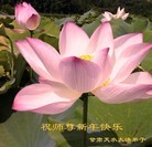 ֹ,󷨵ӹףʦ(18)

