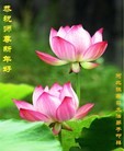 Published on 2/7/2013 ֹ,żҿڴ󷨵Ӹʦ(21)
