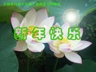 Published on 2/7/2013 ֹ,ʡ󷨵ӹףʦã28
