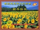 Published on 2/9/2013 ֹ,ϵͳ󷨵ӹףʦã18
