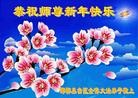 Published on 2/9/2013 ֹ,ӱ󷨵ӹףʦã23
