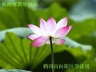 Published on 2/7/2013 ֹ,󷨵ӹףʦ(25)
