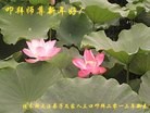 Published on 2/10/2013 ֹ,ľ˹󷨵ӹףʦã16

