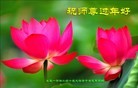 Published on 2/9/2016 ���ֹ�,��½�󷨵��ӹ�ףʦ�������(28��)
