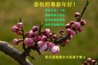 Published on 2/9/2013 ֹ,ҵ󷨵ӹףʦã24
