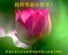 ֹ,󷨵ӹףʦԪ(21)
