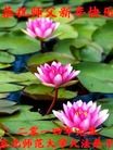 Published on 12/30/2013 ֹ,ϵͳ󷨵ӹףʦԪ(18)
