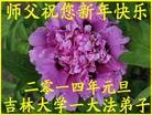 Published on 12/30/2013 ֹ,ϵͳ󷨵ӹףʦԪ(18)
