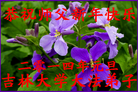Published on 12/30/2013 ֹ,ϵͳ󷨵ӹףʦԪ(18)
