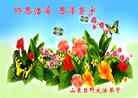 Published on 12/30/2013 ֹ,½󷨵ӹףʦԪ(31)
