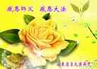 Published on 12/30/2013 ֹ,½󷨵ӹףʦԪ(31)
