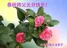Published on 12/30/2013 ֹ,½󷨵ӹףʦԪ(31)
