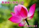 Published on 12/30/2013 ֹ,½󷨵ӹףʦԪ(31)
