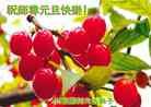 Published on 12/30/2013 ֹ,½󷨵ӹףʦԪ(31)
