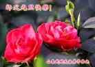 Published on 12/30/2013 ֹ,½󷨵ӹףʦԪ(31)
