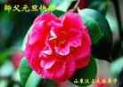 Published on 12/30/2013 ֹ,½󷨵ӹףʦԪ(31)
