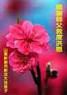 Published on 12/30/2013 ֹ,½󷨵ӹףʦԪ(31)
