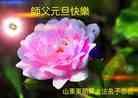 Published on 12/30/2013 ֹ,½󷨵ӹףʦԪ(31)
