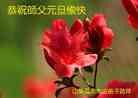 Published on 12/30/2013 ֹ,½󷨵ӹףʦԪ(31)
