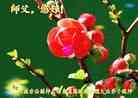 Published on 12/30/2013 ֹ,ǷѺĴ󷨵ӹףʦԪ(22)
