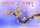Published on 12/30/2013 ֹ,½󷨵ӹףʦԪ(31)
