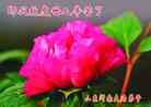 Published on 12/30/2013 ֹ,½󷨵ӹףʦԪ(31)
