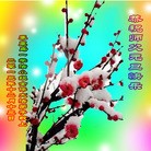 Published on 12/30/2013 ֹ,ػʵ󷨵ӹףʦԪ(25)
