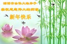 Published on 12/30/2013 ֹ,½󷨵ӹףʦԪ(46)

