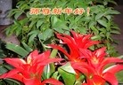 Published on 12/30/2013 ֹ,½󷨵ӹףʦԪ(46)
