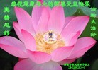 Published on 12/30/2013 ֹ,½󷨵ӹףʦԪ(46)
