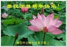 Published on 12/30/2013 ֹ,½󷨵ӹףʦԪ(44)
