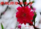 Published on 12/30/2013 ֹ,½󷨵ӹףʦԪ(44)
