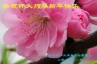 Published on 12/30/2013 ֹ,½󷨵ӹףʦԪ(44)
