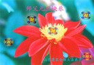 Published on 12/30/2013 ֹ,½󷨵ӹףʦԪ(44)

