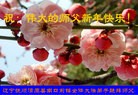 Published on 12/30/2013 ֹ,½󷨵ӹףʦԪ(44)

