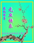 Published on 12/30/2013 ֹ,½󷨵ӹףʦԪ(40)
