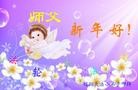 Published on 12/30/2013 ֹ,СӹףʦԪ(23)
