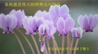 Published on 12/30/2013 ֹ,󷨵ӹףʦԪ(25)
