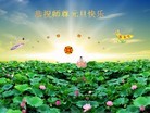 Published on 12/30/2013 ֹ,ʯׯ󷨵ӹףʦԪ(30)
