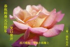 ֹ,Ĵ󷨵ӹףʦԪ(24)
