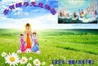 Published on 12/30/2013 ֹ,ʯׯ󷨵ӹףʦԪ(30)
