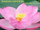 Published on 12/30/2013 ֹ,СӹףʦԪ(23)

