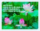 Published on 12/30/2013 ֹ,д󷨵ӹףʦԪ(21)
