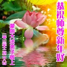 Published on 12/31/2013 ���ֹ�,��½�󷨵��ӹ�ףʦ��Ԫ������(49��)
