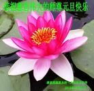 Published on 1/1/2014 ���ֹ�,��½�󷨵��ӹ�ףʦ��Ԫ������(41��)
