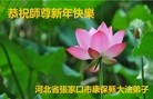 ֹ,żҿڴ󷨵ӹףʦԪ(26)
