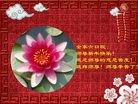 Published on 2/13/2013 ֹ,½󷨵ӹףʦ֣33
