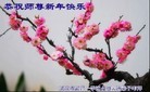 Published on 2/13/2013 ֹ,½󷨵ӹףʦ֣42
