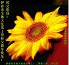 Published on 2/13/2013 ֹ,½󷨵ӹףʦ֣42
