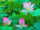 Published on 2/13/2013 ֹ,½󷨵ӹףʦ֣55
